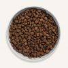 Canagan Free-Range Chicken Dry Cat Food - Image 2