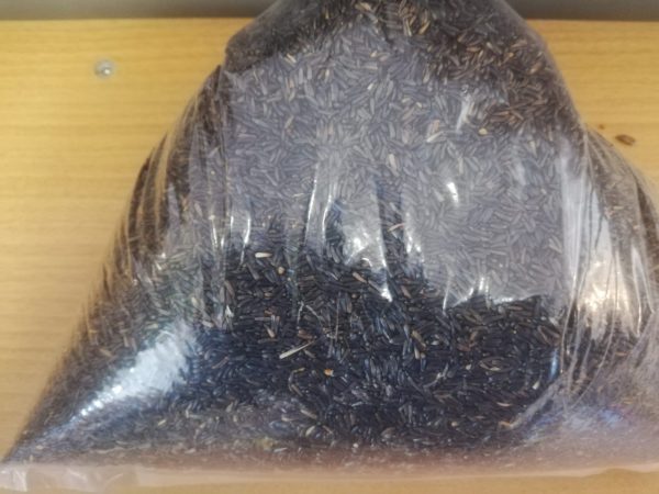 Wild Bird Seed - Niger Seed