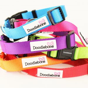 Dog Collars