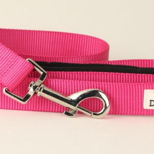Dog Leads