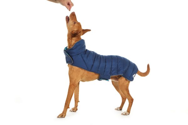 Doodlebone®  Reversible Puffer Dog Jacket Ocean/Sky