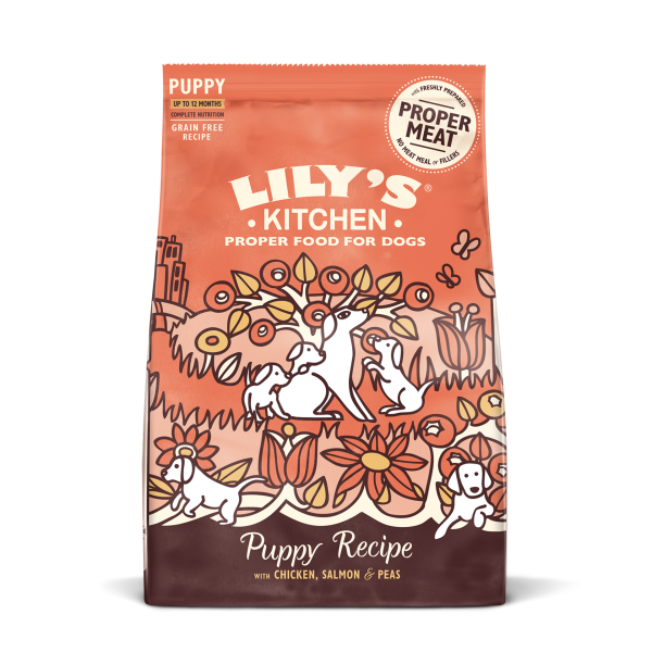 Lily's Kitchen Chicken & Salmon Dry Food for Puppies