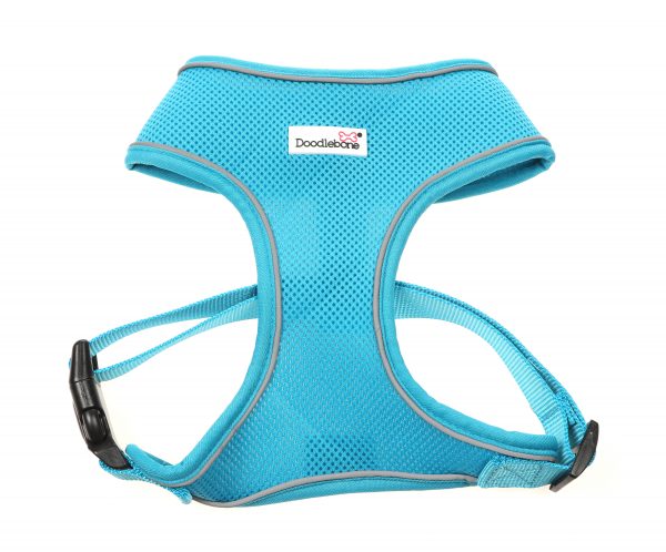 Doodlebone® Originals Airmesh Dog Harness - Aqua