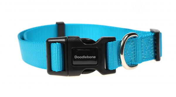Doodlebone® Originals Dog Collar - Aqua