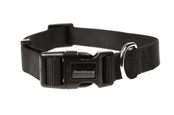 Doodlebone® Originals Dog Collar - Coal