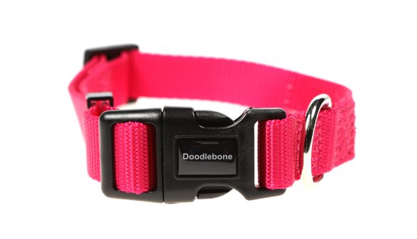 Doodlebone® Originals Dog Collar - Fuschia
