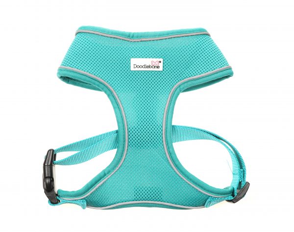 Doodlebone® Originals Airmesh Dog Harness - Peacock