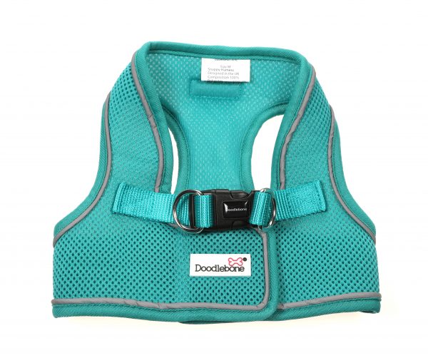 Doodlebone® Airmesh Originals Snappy Dog Harness - Peacock
