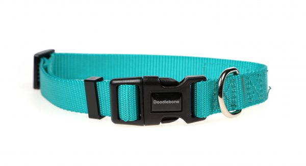 Doodlebone® Originals Dog Collar - Peacock