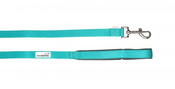 Doodlebone® Originals Dog Lead - Peacock