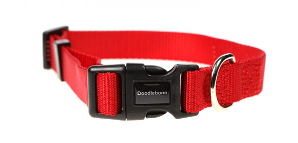 Doodlebone® Originals Dog Collar - Ruby