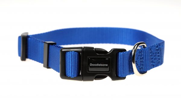 Doodlebone® Originals Dog Collar - Sapphire