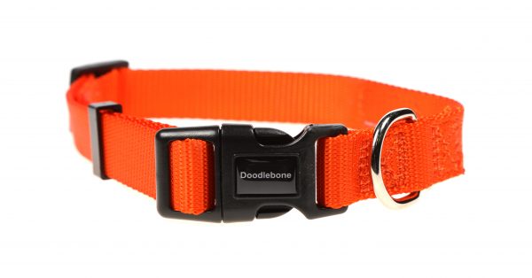 Doodlebone® Originals Dog Collar - Tangerine