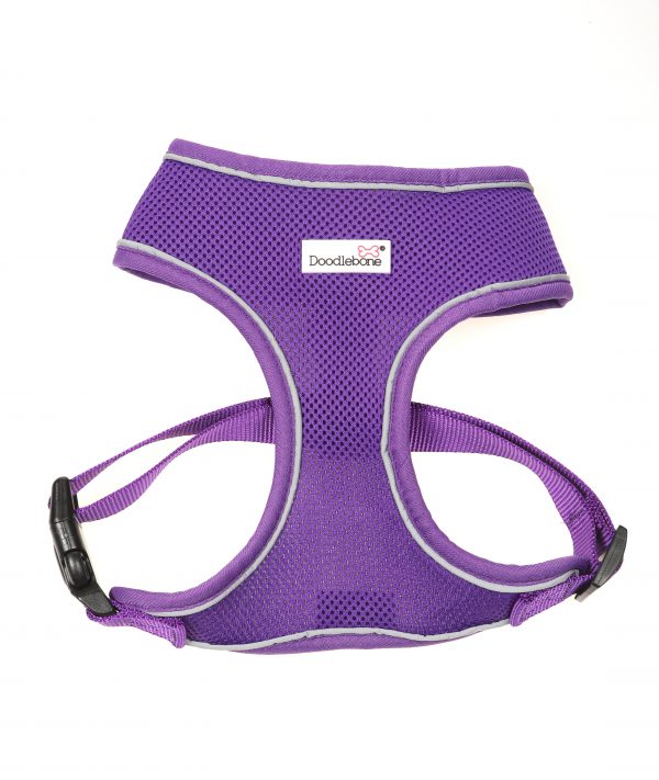 Doodlebone® Originals Airmesh Dog Harness - Violet